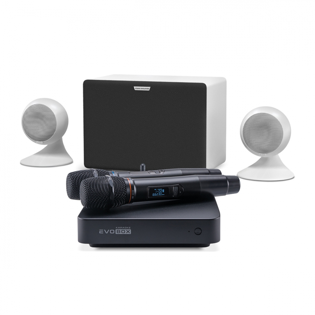 караоке-комплект EVOBOX Classic + EvoSound Sphere 2.1 в Лобне