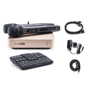 EVOBOX Classic караоке-система для дома в Лобне
