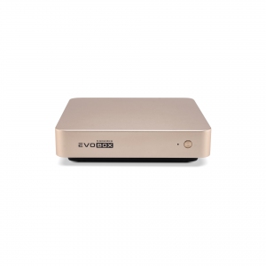 EVOBOX с микрофонами в Лобне